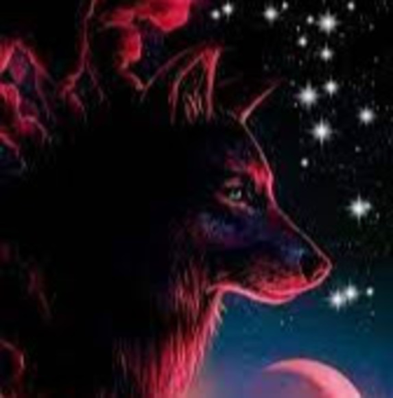 Meet your Posher, Alissa - Picture 1 of 1